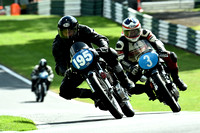 Races 1 & 12